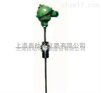 上(shàng)海(hǎi)儀表三廠(chǎng)WRNT2-31雙支軸承熱(rè)電(diàn)偶
