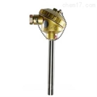 K型熱(rè)電(diàn)偶 上(shàng)海(hǎi)儀表三廠(chǎng)