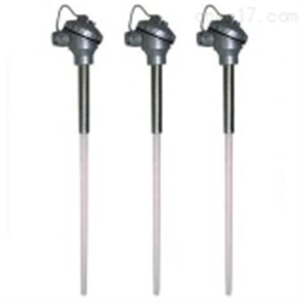 WRR2-432雙支鉑铑熱(rè)電(diàn)偶