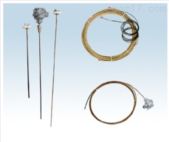 WRNK-336S铠裝熱(rè)電(diàn)偶,熱(rè)電(diàn)偶儀表