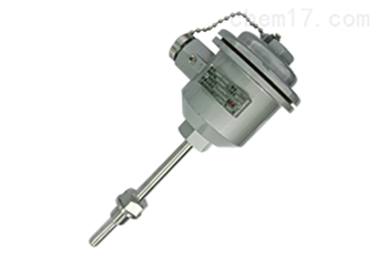 WRN-240隔爆型本安型熱(rè)電(diàn)偶