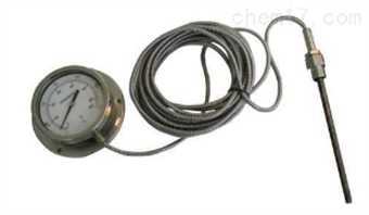 WTY系列全不(bù)鏽鋼液體(tǐ)壓力式溫度計(jì)
