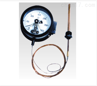 WTZ/WTQ系列壓力式溫度計(jì)