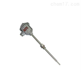 WZPK-24SA防爆熱(rè)電(diàn)阻