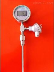 DTMP-413  帶變送輸出數(shù)字溫度計(jì)