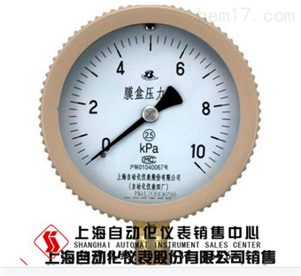 YE-100B膜盒壓力表