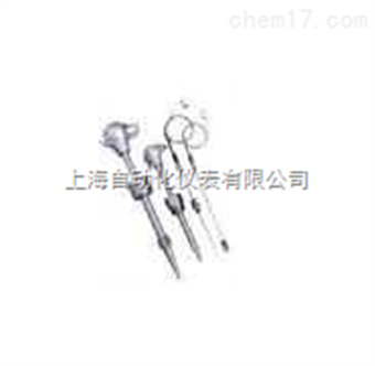 石油化(huà)工(gōng)熱(rè)電(diàn)偶/熱(rè)電(diàn)阻