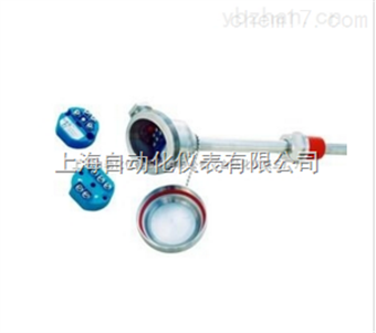 帶溫度變送器(qì)（隔爆）熱(rè)電(diàn)偶