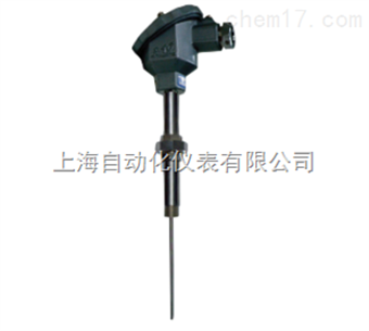 RT24P-RT24P2活絡管接頭式防爆熱(rè)電(diàn)阻