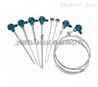 WZP-4318、WZP2-4318電(diàn)站(zhàn)熱(rè)電(diàn)阻