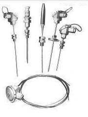 铠裝熱(rè)電(diàn)阻WZPK PT100