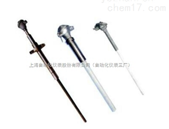 WRNG 高(gāo)溫防爆熱(rè)電(diàn)偶