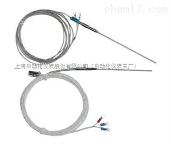 WRE-203S微(wēi)型熱(rè)電(diàn)偶/熱(rè)電(diàn)阻