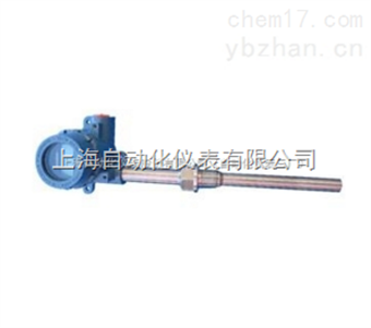 WZP-441S帶溫度變送器(qì)防爆熱(rè)電(diàn)阻WZP2-441S 産品