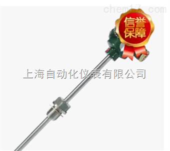 上(shàng)海(hǎi)自(zì)動化(huà)儀表三廠(chǎng)WZPN-131耐磨熱(rè)電(diàn)阻