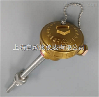 上(shàng)海(hǎi)自(zì)動化(huà)儀表三廠(chǎng)SBWR-2280/WRNK-230、SBWR-2280/WRNK一(yī)體(tǐ)化(huà)铠裝熱(rè)電(diàn)偶