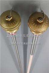 上(shàng)海(hǎi)儀表三廠(chǎng)WRP2-130裝配式熱(rè)電(diàn)偶