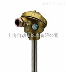 WRN-130-F耐腐熱(rè)電(diàn)偶