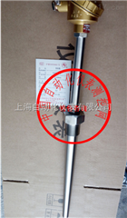 WRN-621裝配式熱(rè)電(diàn)偶上(shàng)自(zì)儀三廠(chǎng)